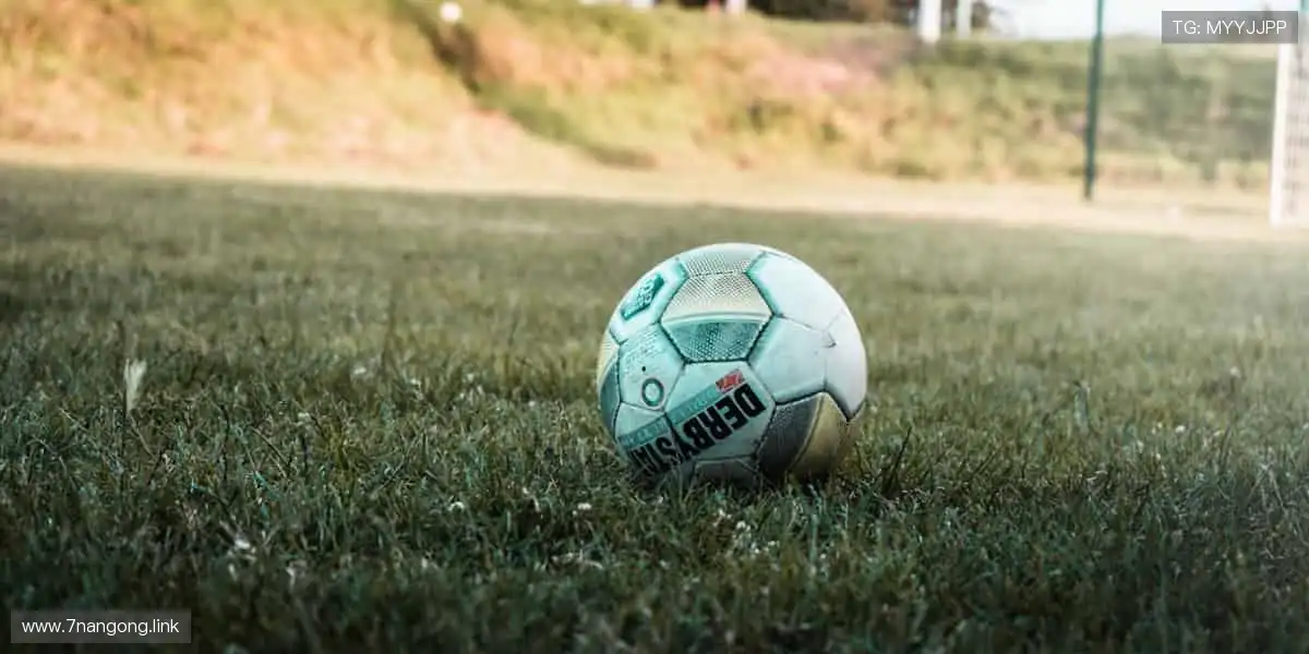 影视盛宴,精彩纷呈!🎥🔥